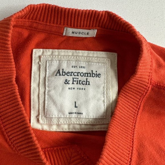 Abercrombie and Fitch Sweater Mens Large Muscle V Neck Orange Long Sleeve Cotton - Picture 5 of 9